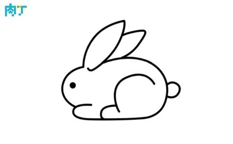 兔子簡單畫法 中藥調理